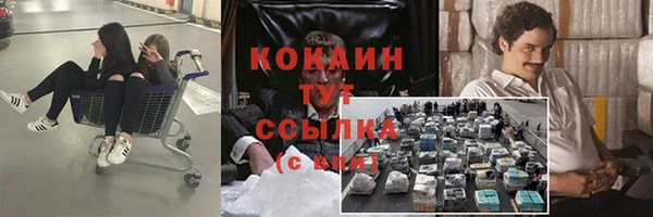 мяу мяу мука Нязепетровск