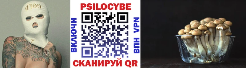 как найти закладки  Родники  Псилоцибиновые грибы ЛСД 